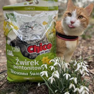 Chico Żwirek Bentonitowy Wiosenna Świeżosć 10l - Biały, Drobny i 99,5% Odpylony