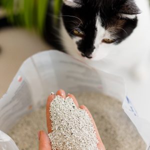 Chico Żwirek Bentonitowy Węgiel Aktywny 10l