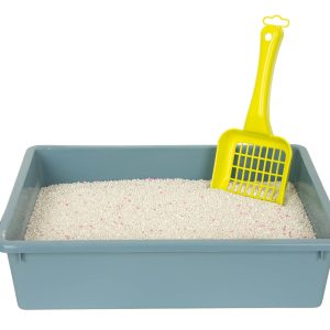 Chico Żwirek Bentonitowy 5l - Biały, Drobny i 99,5% Odpylony